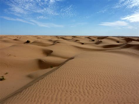 saharasdessert|Sahara — Wikipédia